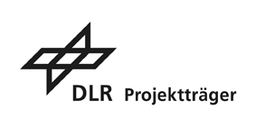 DLP Projektträger Logo